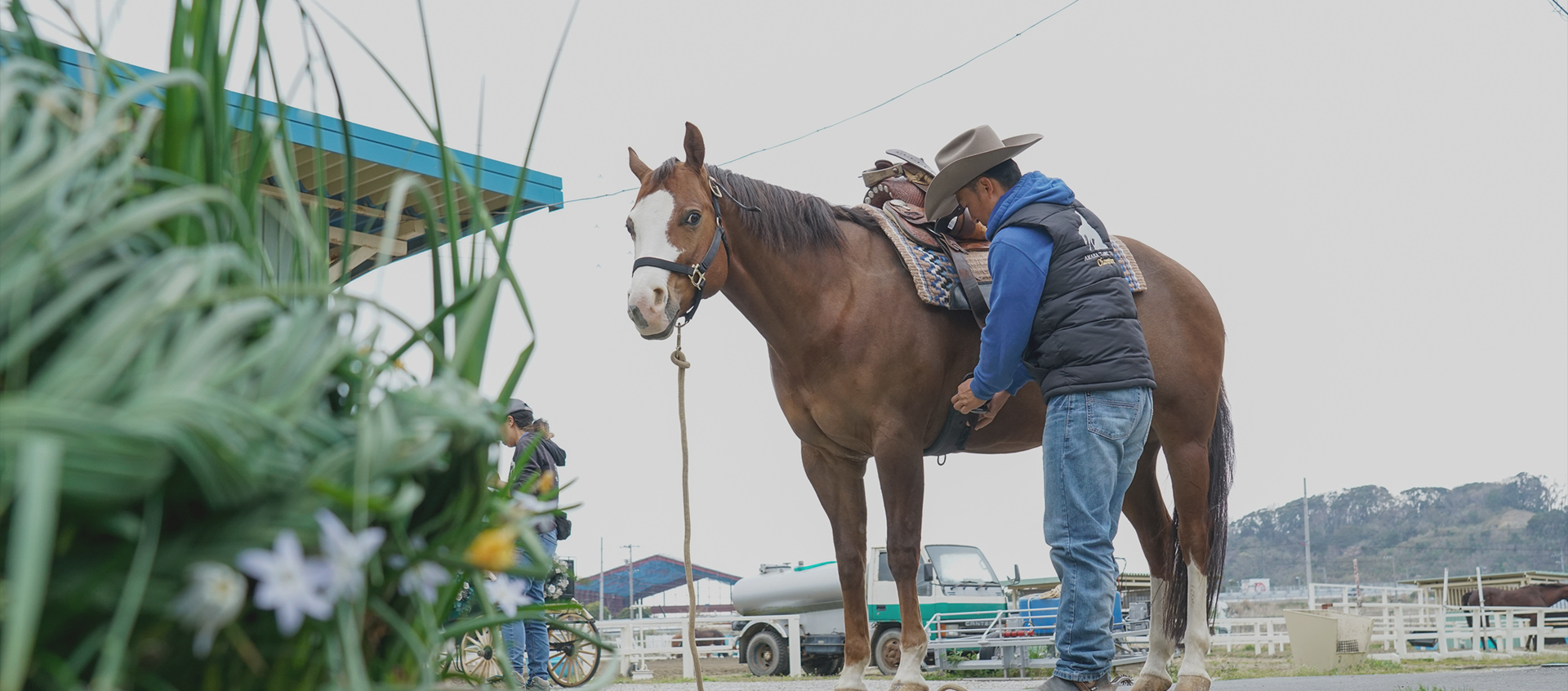 AMAHA HORSE CLUB